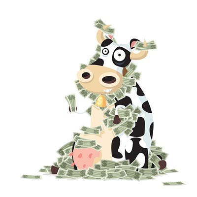 Too Many Accountants are Fielding Technology Queries
